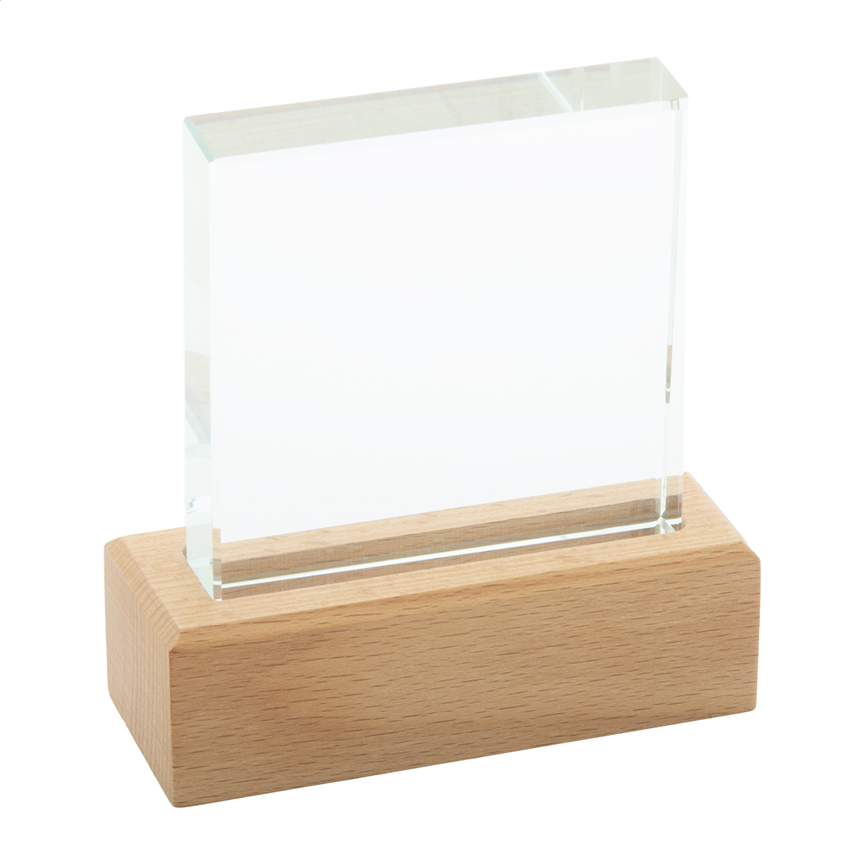 Rectofi trophy