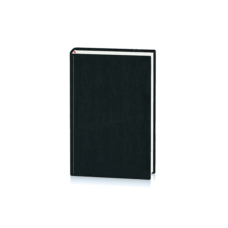Agenda datata BASIC CS10
