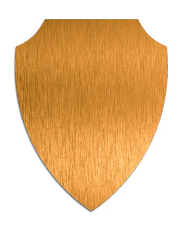 GOLD PLATE X SUBLIMATION 211X162 mm
