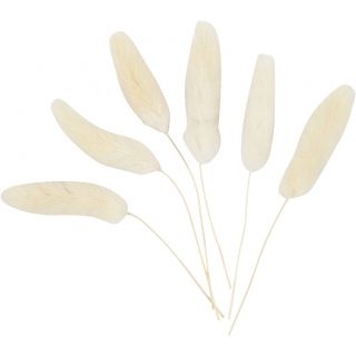 50203