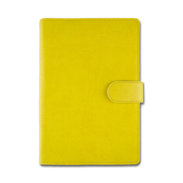 AGENDA LUX VIVA ARLES GALBEN, 15X21 cm
