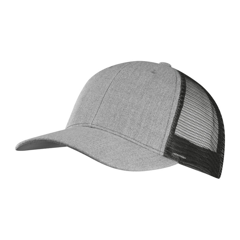 Baseball cap with net