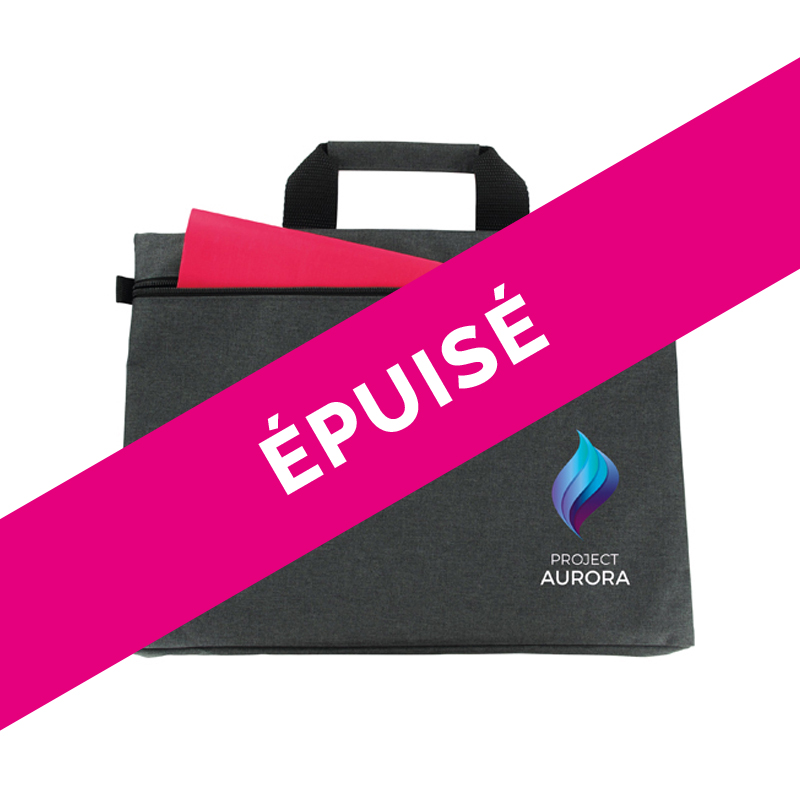 Document bag