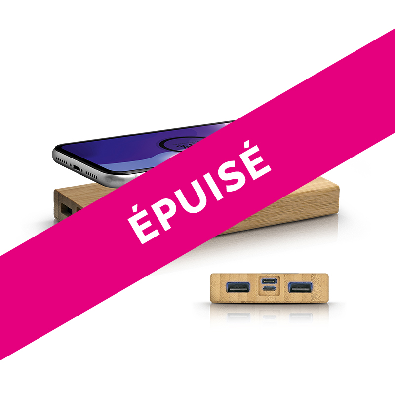 BAMBOO EXTERNAL BATTERY Li-po 8000 mAh & INDUCTION CHARGER