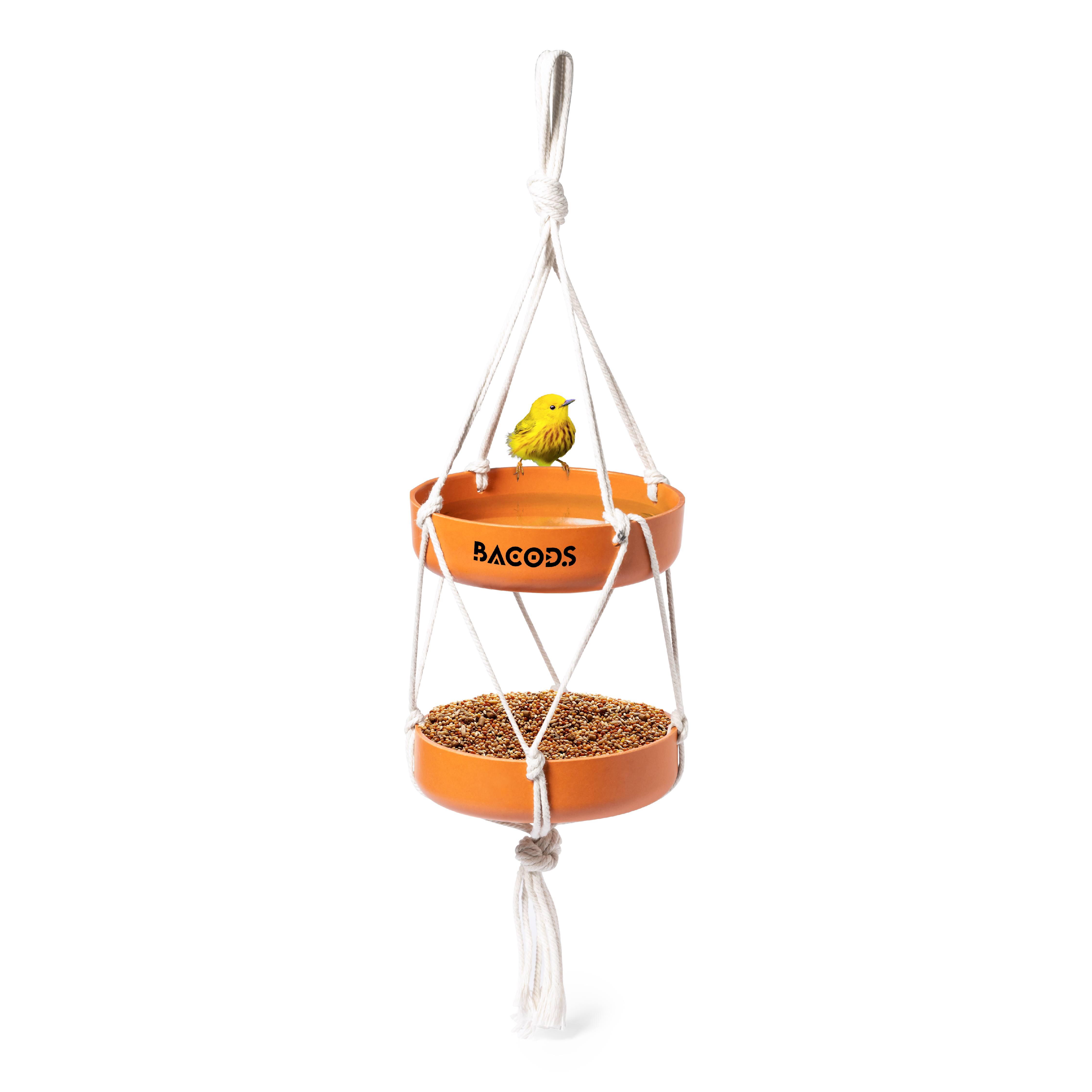 XilamBird Feeder