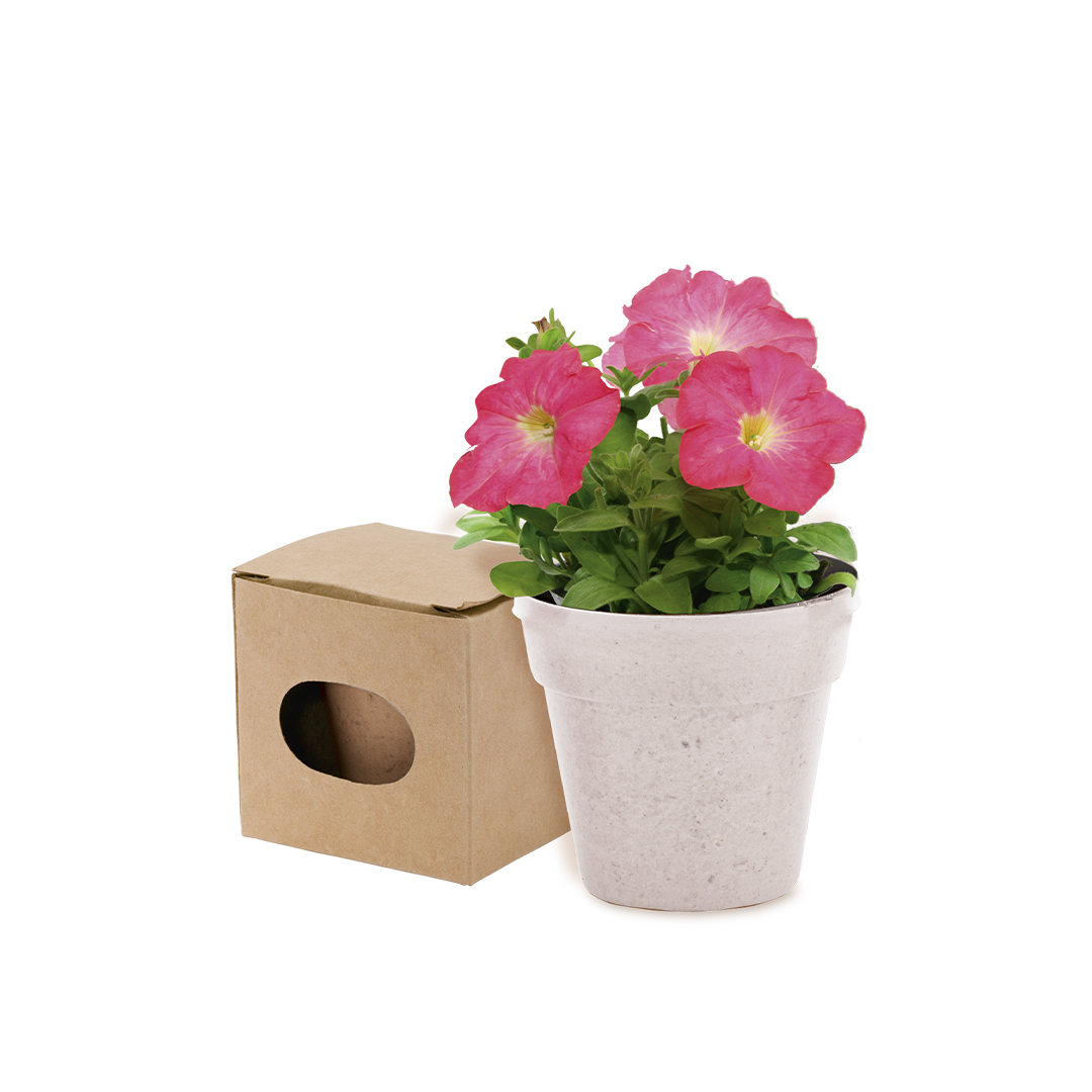 AdvertFlowerpot