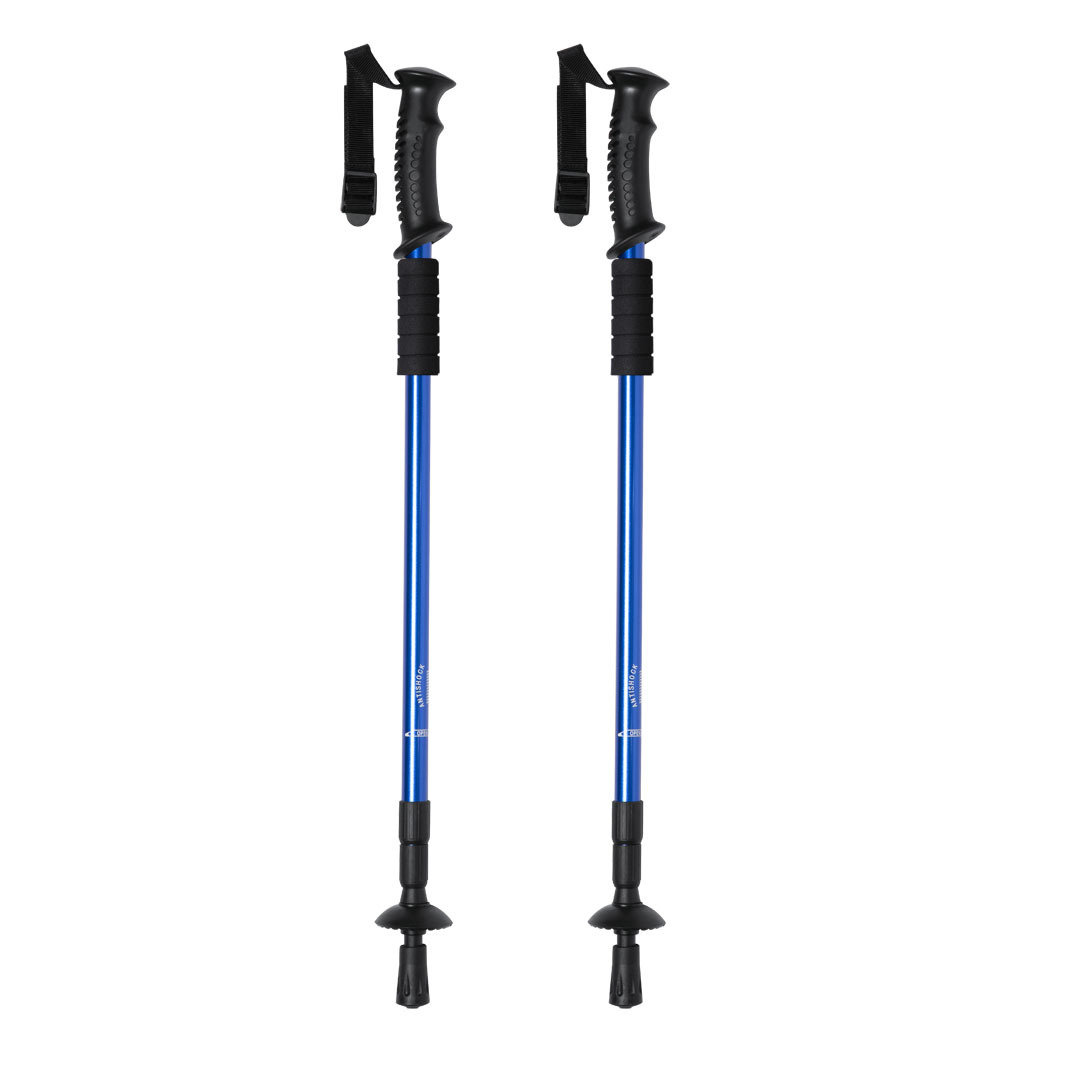 BrulenWalking Poles Set