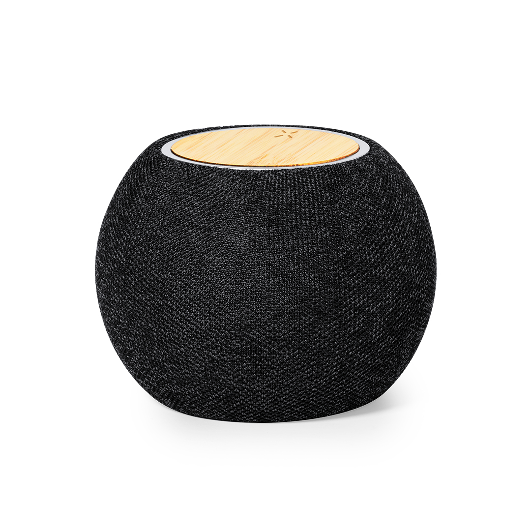 CedricCharger Speaker