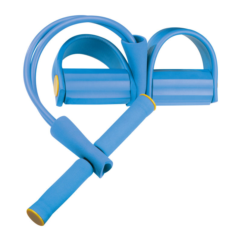 Abdominal and Back Trainer Rochefort