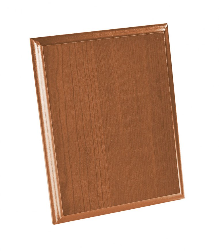 PLAQUE LIGHT-COLORED 180X230X15 MM