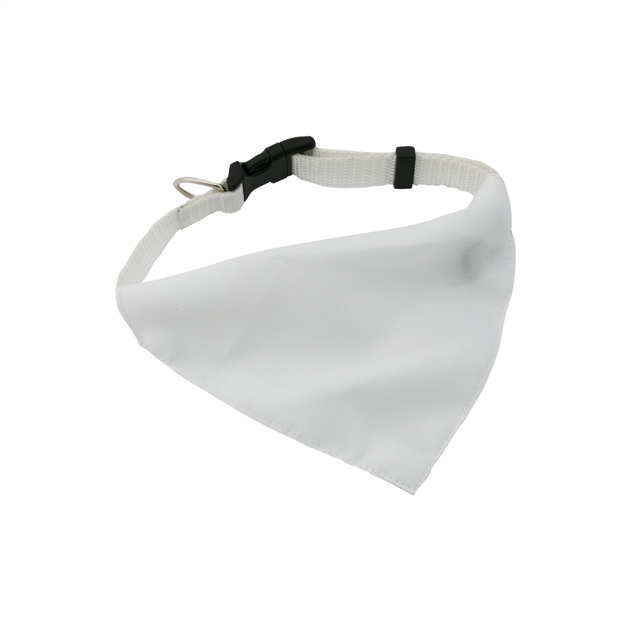 Rex dog's collar