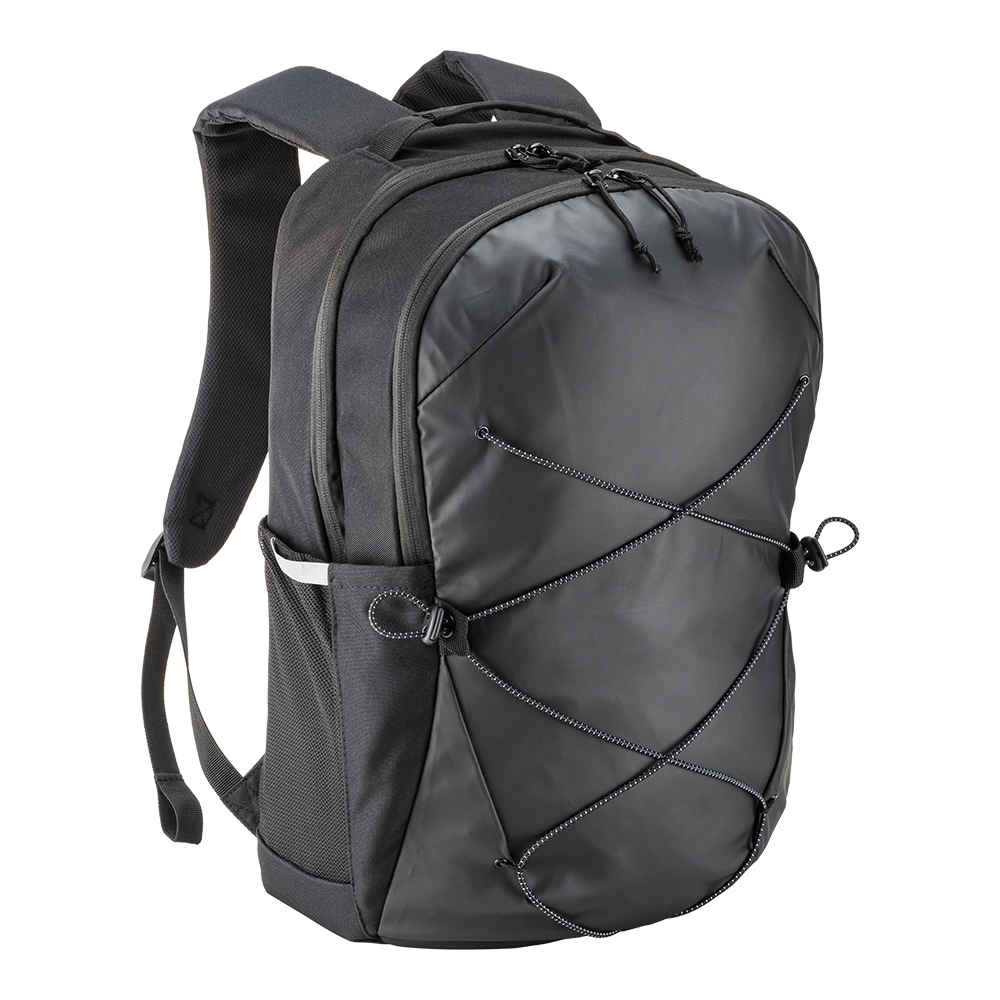 Laptop backpack (15