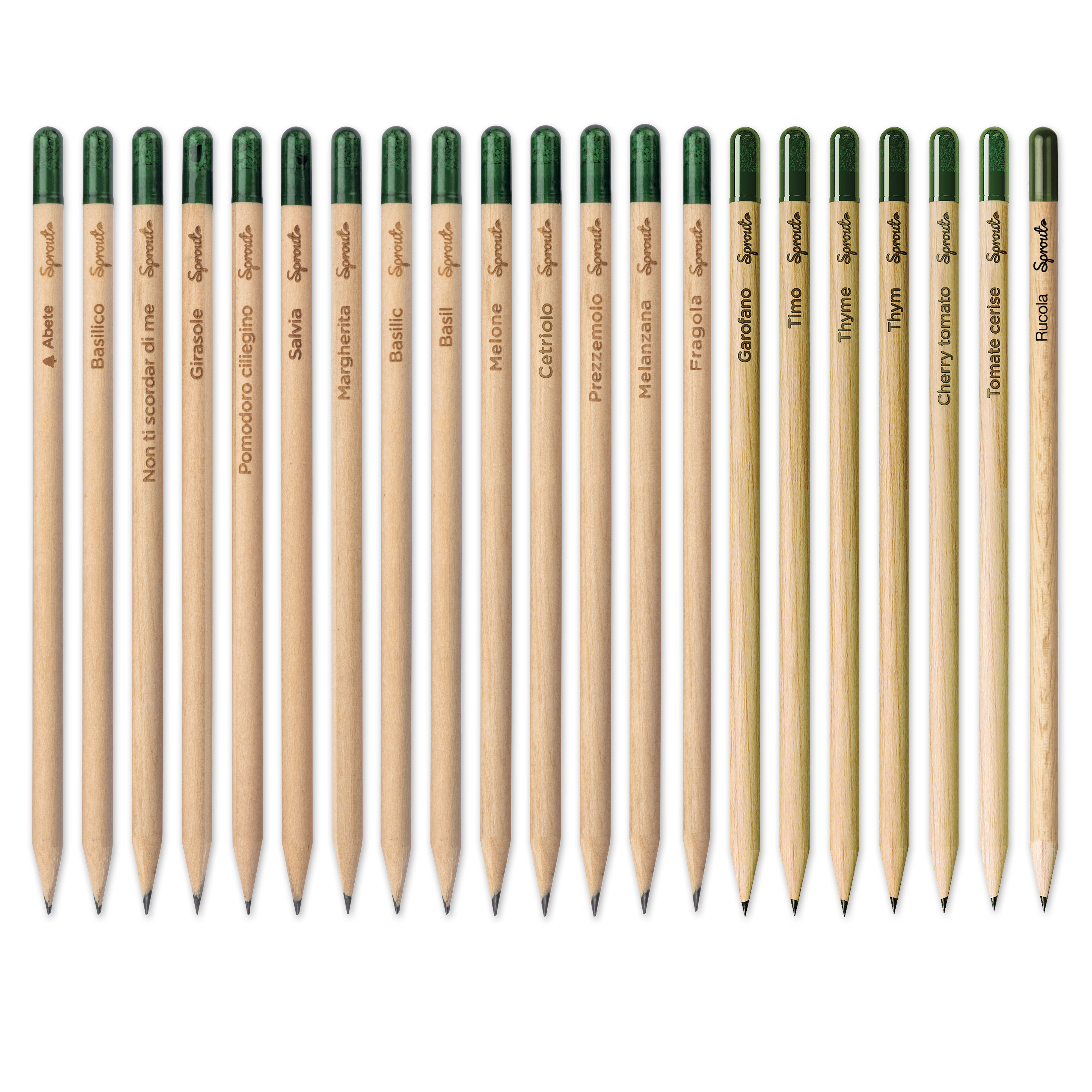 Sprout pencil made of sustainable wood with graphite lead. Plantable after use Natural